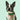 Spring Collar